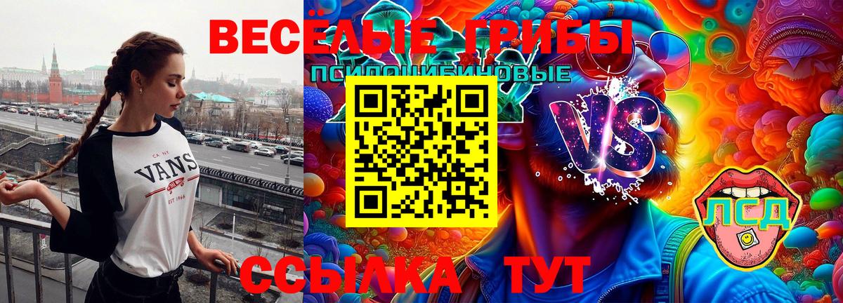 Псилоцибиновые грибы Magic Shrooms Ухта